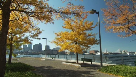 Boston Scenics Stock Footage 123910789