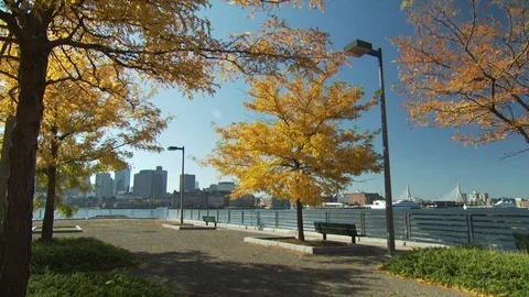 Boston Scenics Stock Footage 123910794