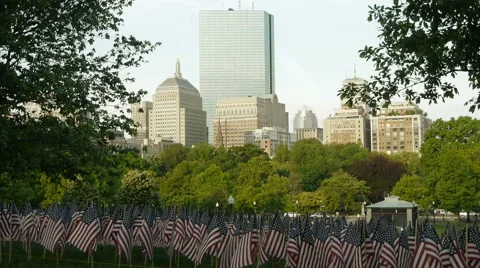 Boston Skyline American Flags Video stock 50385617
