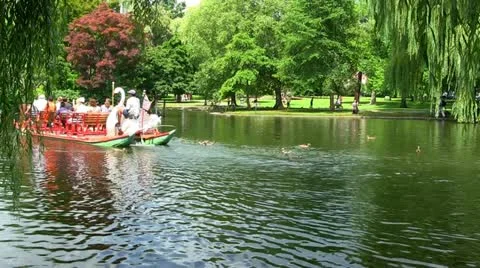 Boston swan boats; 5 Stock Footage