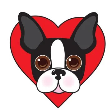 Boston Terrier Face Stock Illustration