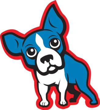 Boston Terrier Stock Illustration