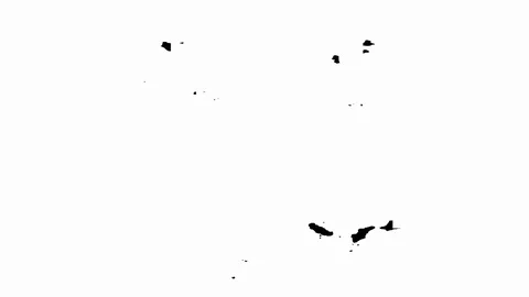 Boston Word Text Transition - Garbage Stock Footage 91054002