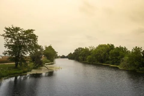 Bosut river Stock Photos