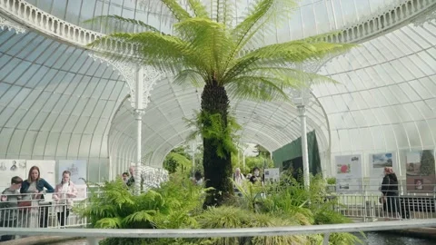 Botanic garden Stock Footage 231927409
