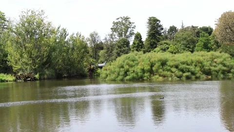 Botanic garden of Melbourne Stock Footage 237245271