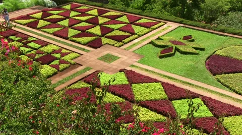 Botanic Garden, Monte, Madeira Stock Footage 31821345