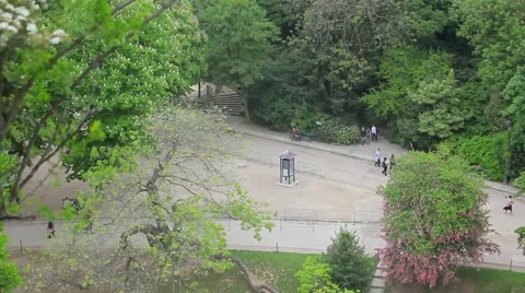 Botanic Garden Path Stock Footage 60046795