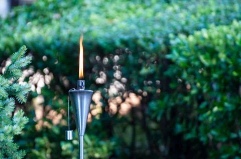 Botanic garden Stock Photos