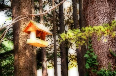 Botanic garden Stock Photos