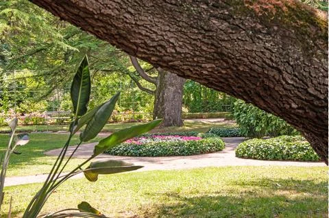 Botanic garden Stock Photos