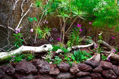 BOTANIC GARDEN Stock Photos