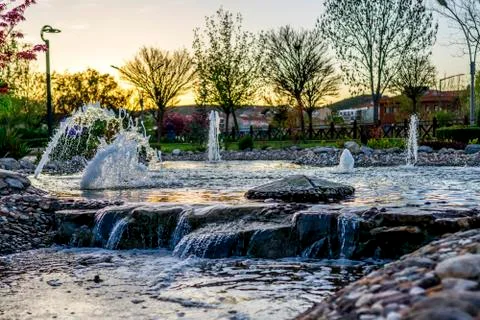 Botanic garden Foto stock