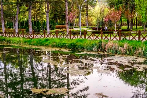 Botanic garden Stock Photos