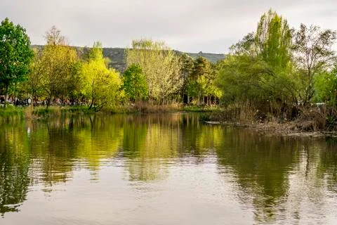 Botanic garden Stock Photos