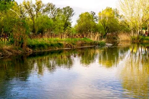 Botanic garden Stock Photos