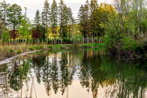 Botanic garden Stock Photos