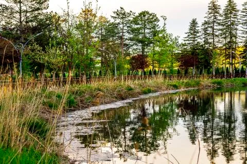Botanic garden Foto stock