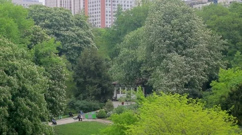 Botanic Garden View Stock Footage 60046789