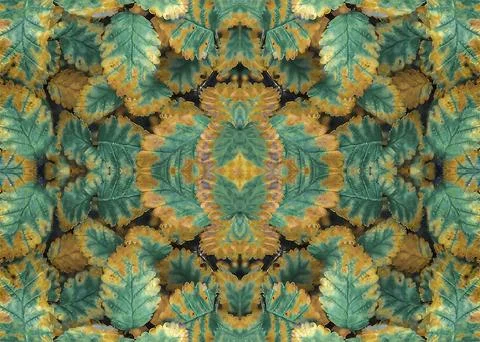 Botanic motif collage pattern 스톡 사진