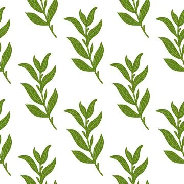 Botanic seamless isolated pattern with simple green leaf branches ornament. W Illustrazione stock