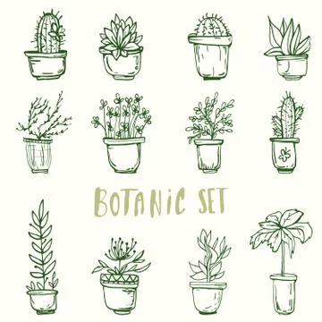 Botanic set. cactus flowers Stock Illustration