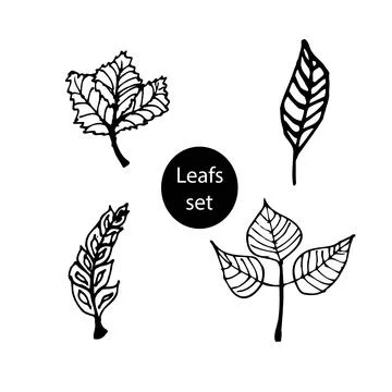Botanic set vector isolated white and black vector icon branch, leafs, hand draw Stock Illustration