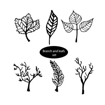 Botanic set vector isolated white and black vector icon branch, leafs, hand draw Stock Illustration