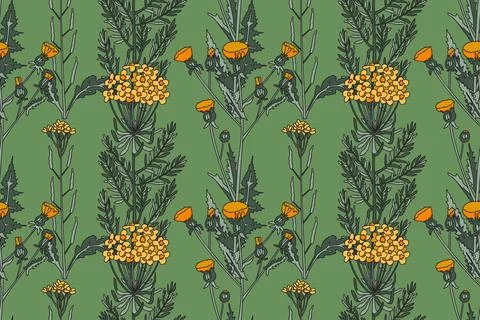 Botanical abstract plant seamless pattern with wildflowers vector illustrat.. Stock Illustration