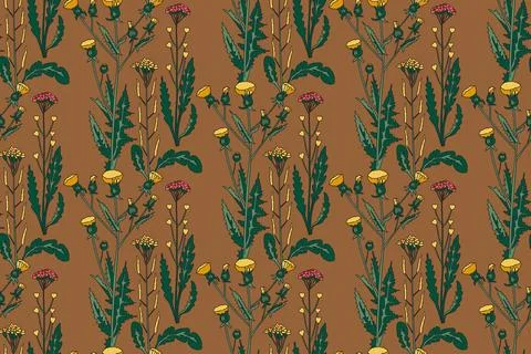 Botanical abstract plant seamless pattern with wildflowers vector illustrat.. Stock Illustration