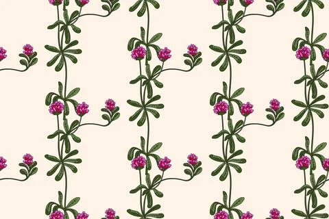 Botanical abstract plant seamless pattern with wildflowers Clovers vector i.. Stock Illustration