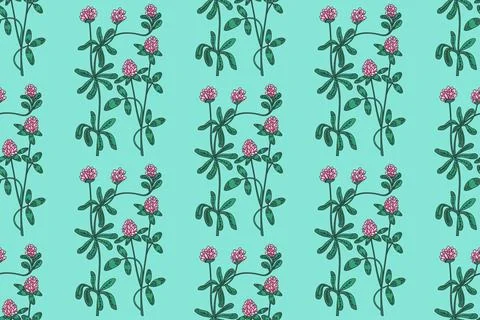 Botanical abstract plant seamless pattern with wildflowers Clovers vector i.. Stock Illustration