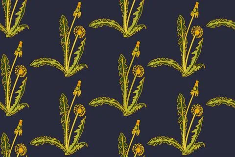 Botanical abstract seamless pattern background with dandelion flowers vecto.. Stock Illustration