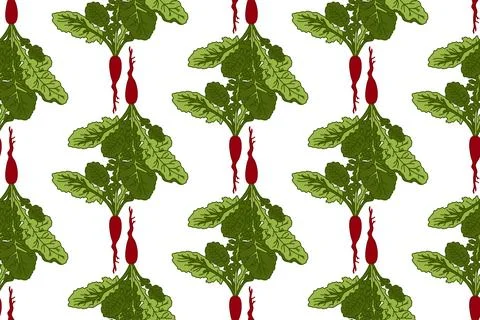 Botanical abstract seamless pattern with beets vector illustration.Colorful.. Stock Illustration