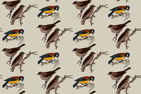 Botanical abstract seamless pattern with garden birds vector illustration. .. イラスト素材