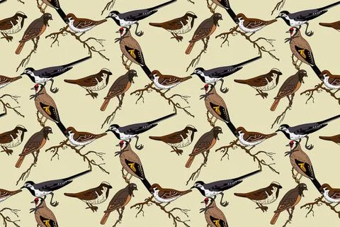 Botanical abstract seamless pattern with garden birds vector illustration. .. Stock Illustration