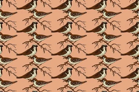Botanical abstract seamless pattern with garden birds vector illustration. .. Stock Illustration
