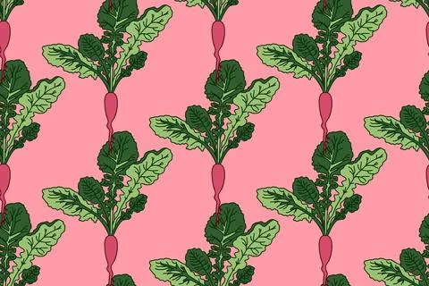 Botanical abstract seamless pattern with juicy beets vector illustration. C.. Stock Illustration