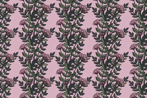 Botanical abstract seamless pattern whit plant and flowers vector illustrat.. イラスト素材
