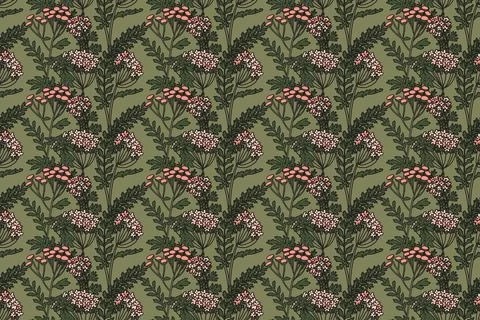 Botanical abstract seamless plant pattern with wildflowers vector illustrat.. Stock Illustration