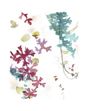 Botanical abstract wall art print and poster. Stock Illustration