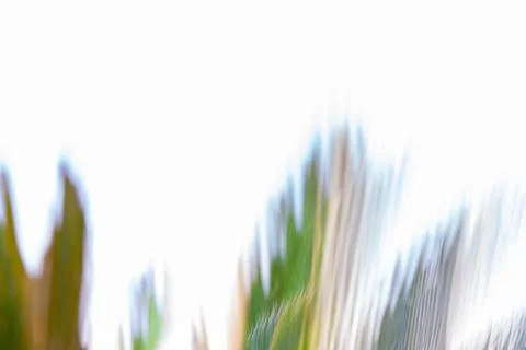 Botanical abstract on white. Stock Illustration
