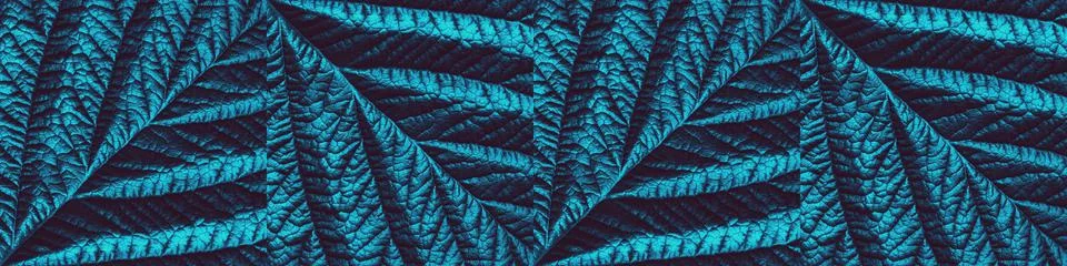 Botanical background of macro leaf texture patterns in deep dark pacific blue Fotos Stock