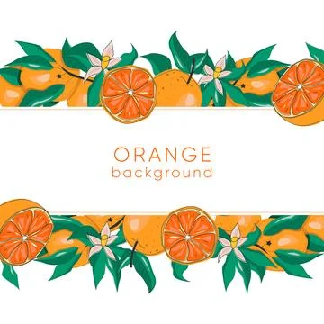 Botanical background with oranges, branches, leaves and flowers. Card templat Stock Illustration
