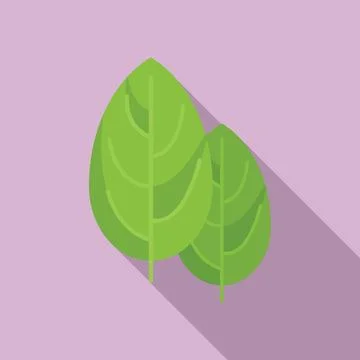 Botanical basil icon flat . Herb leaf Stock Illustration