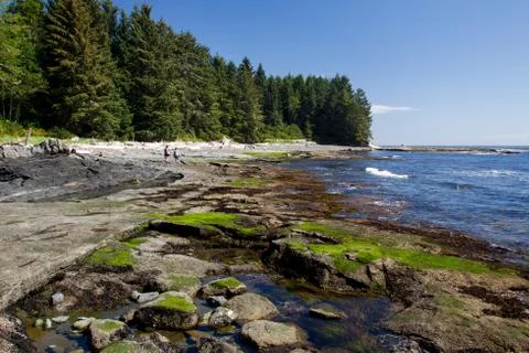 Botanical Beach Stock Photos
