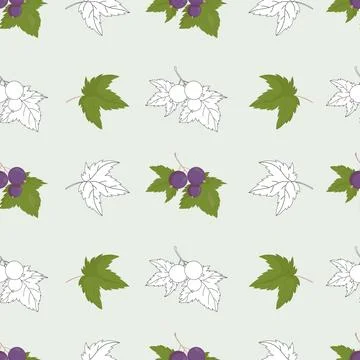 Botanical Blackcurrant Seamless Pattern. Mixed Garden Background with Color.. Illustrazione stock