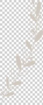 Botanical branch is being shown in flat design with curved vine, oval leaves on Stock Illustration