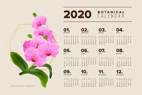 Botanical calendar 2020 purple moon orchid Stock Photos