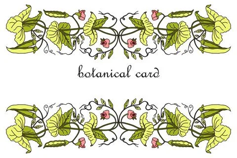Botanical Card Design with floral elements. Hand drawn green peas plant wit.. Stock Illustration